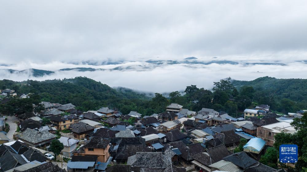 金沙新额度
